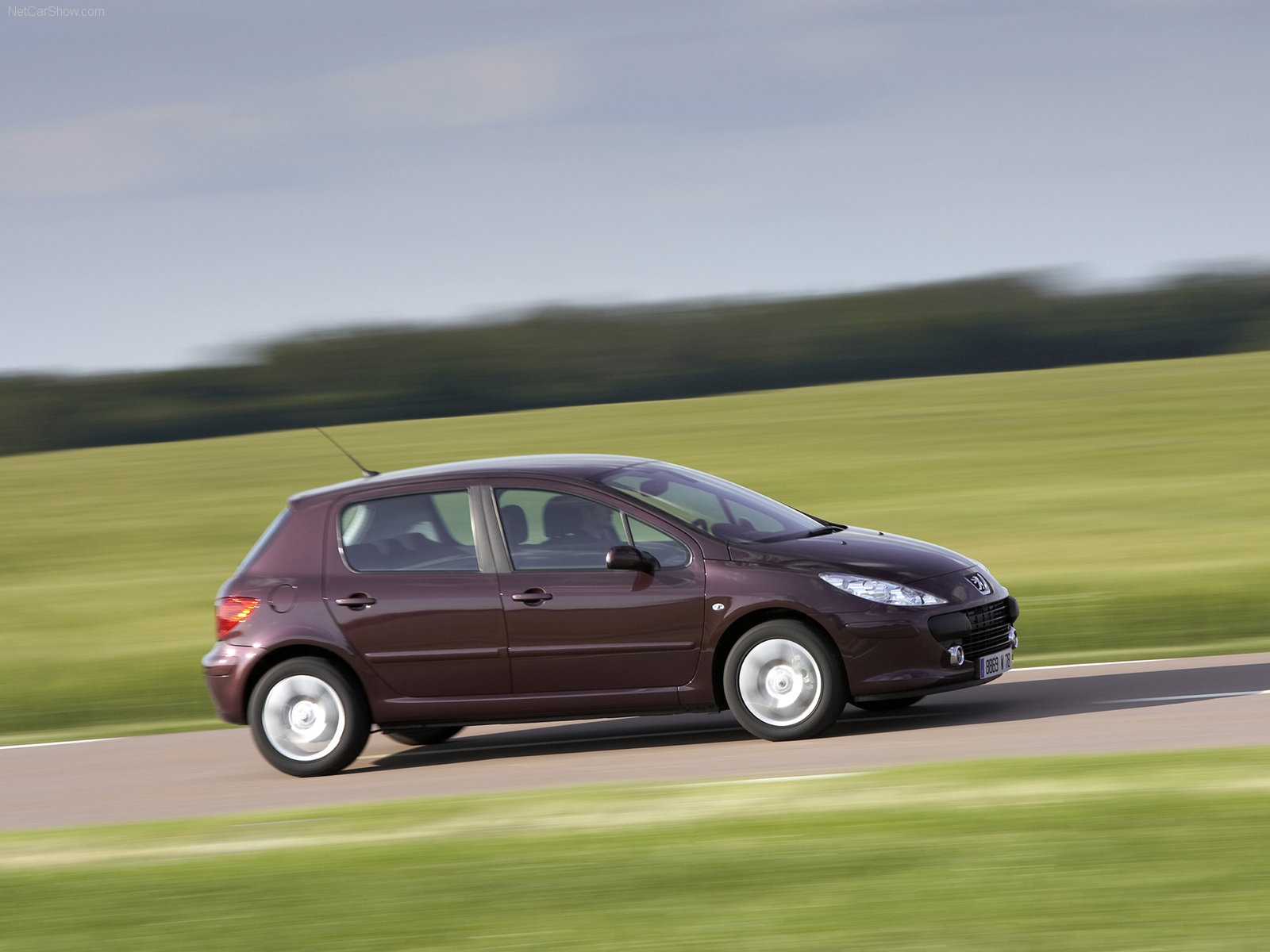 Peugeot 307 2005 Hızlanma