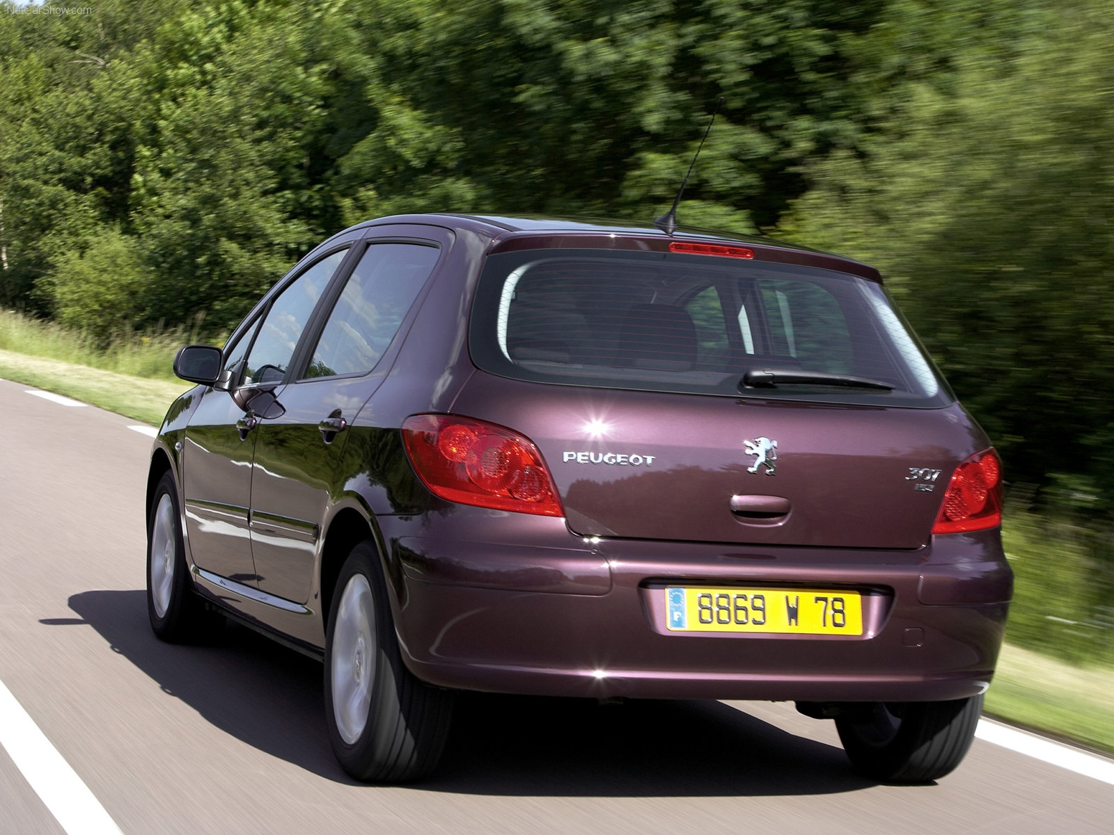 Peugeot 307 2005 Arka Görünüm