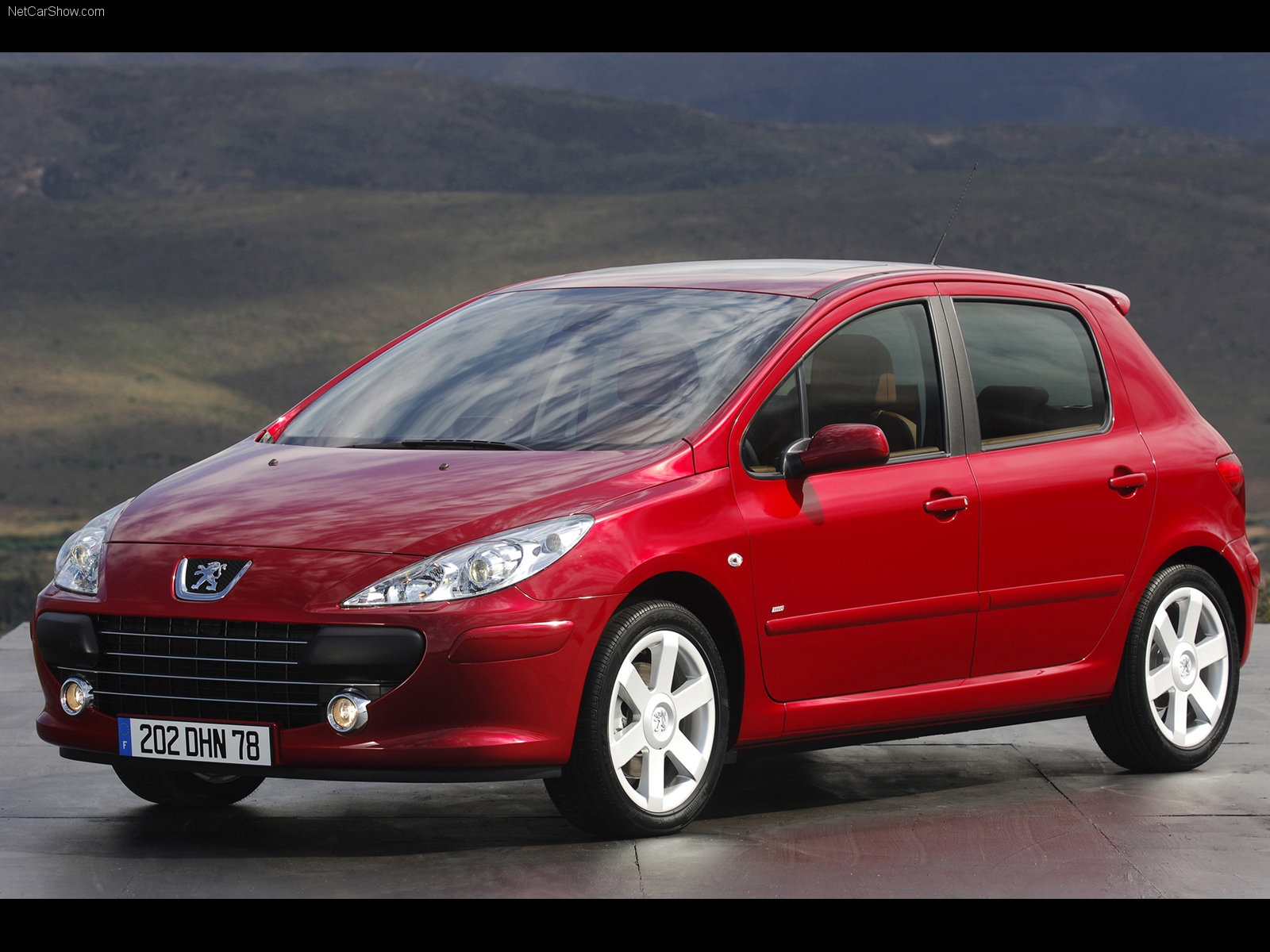 Peugeot 307 2005 Yan Görünüm